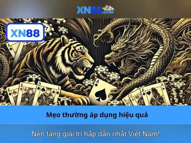 Trải nghiệm người dùng<h>Đánh giá và khuyến nghị</h><li style=