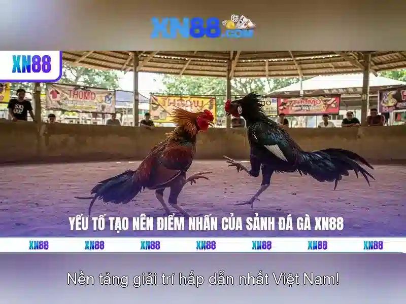 Giới thiệu về xn88
