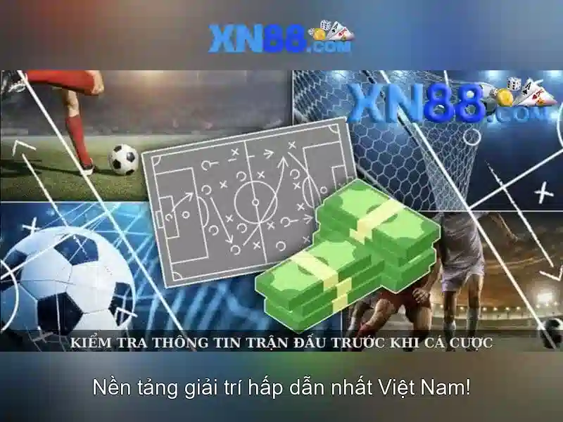 Hướng dẫn bắt đầu