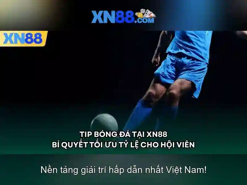 xn88: Nền tảng trực tuyến và những điều bạn cần biết