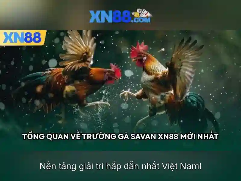 Xn88: Nền tảng casino trực tuyến hàng đầu và những điều bạn cần biết
