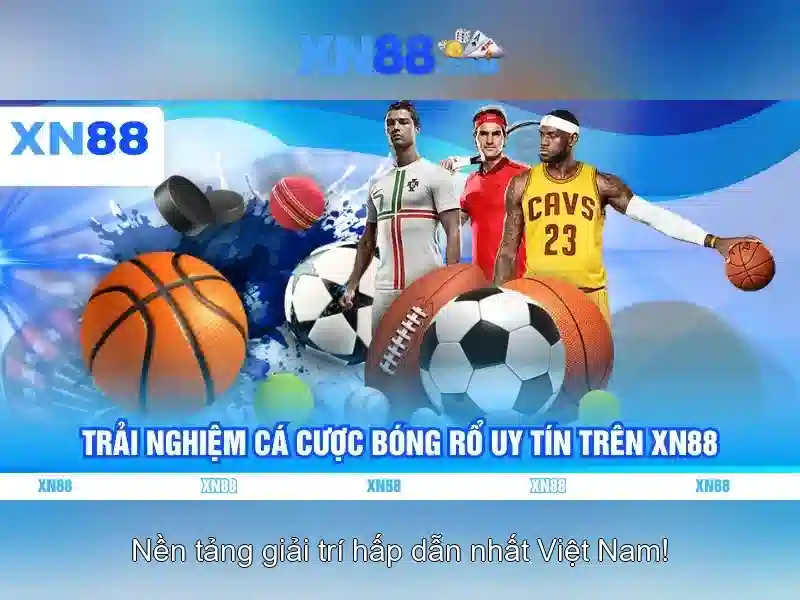 Giao diện người dùng và trải nghiệm