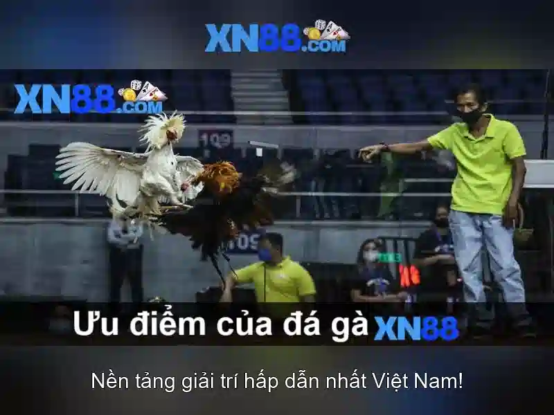 Tổng quan xn88 tải