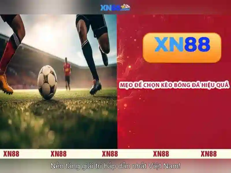 Ứng dụng và tiềm năng của xn88