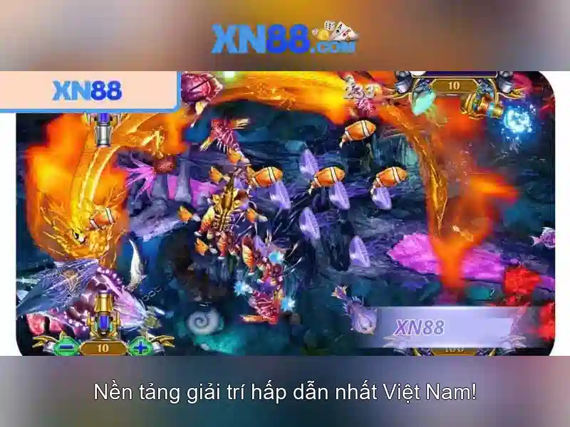Giới thiệu về xn88