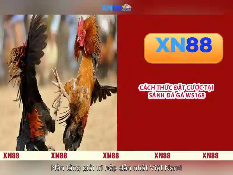 xn88 - Tổng quan và Hướng dẫn sử dụng an toàn