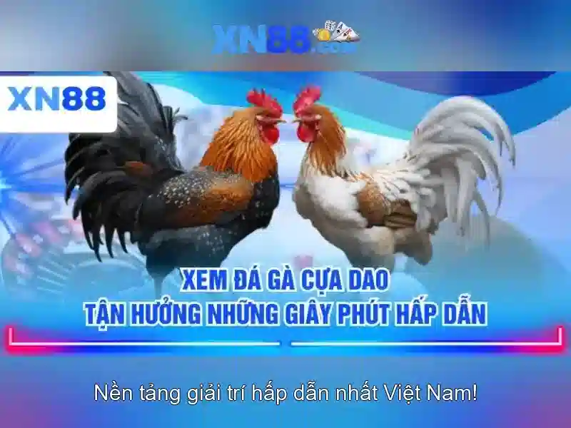 Xn88 là gì và tại sao nó hút khách chơi trực tuyến
