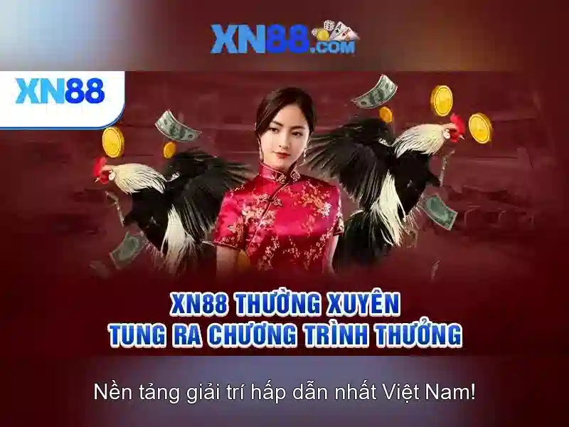 xn88 và nền tảng giải trí trực tuyến hiện đại