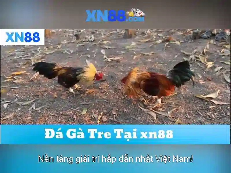 Hướng dẫn sử dụng an toàn