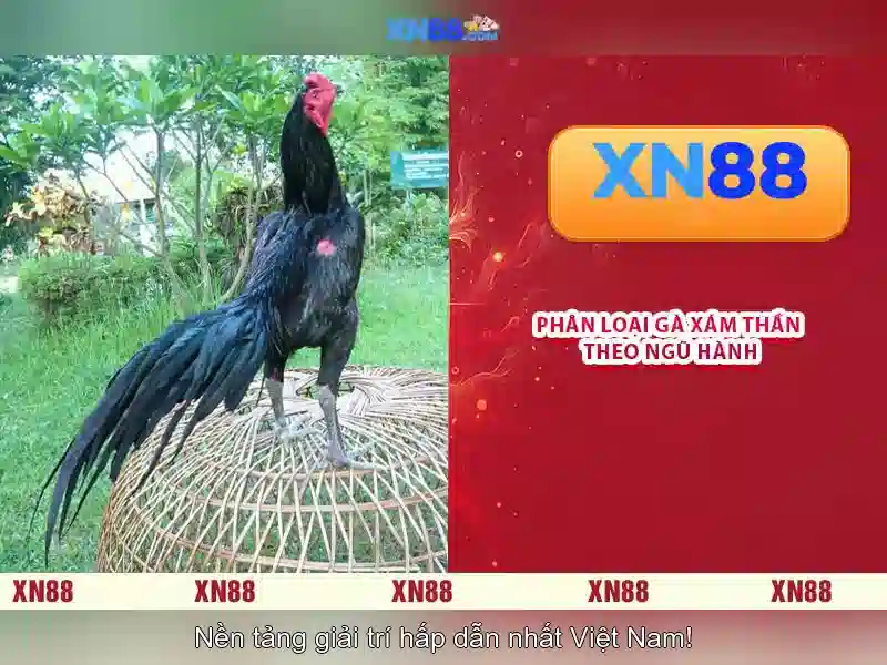 Khám phá xn88: nền tảng trò chơi trực tuyến và trải nghiệm người dùng