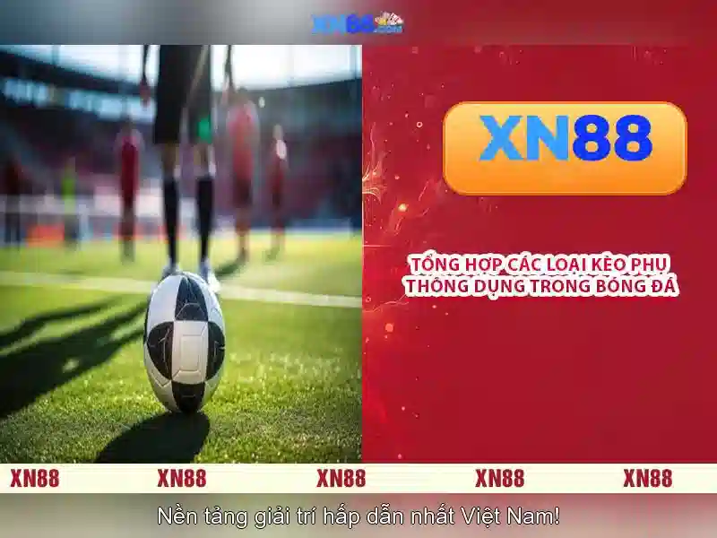 Xn88: Giới thiệu và Hướng dẫn