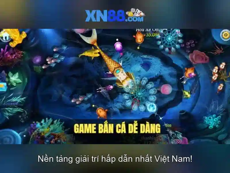 Kết luận và triển vọng