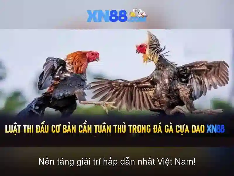 Xn88: Nền tảng trò chơi trực tuyến và cộng đồng