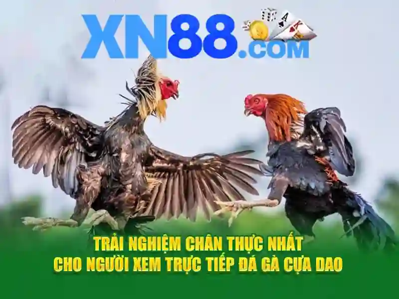 nhà cái xn88 – Trải nghiệm đỉnh cao và đánh giá xn88