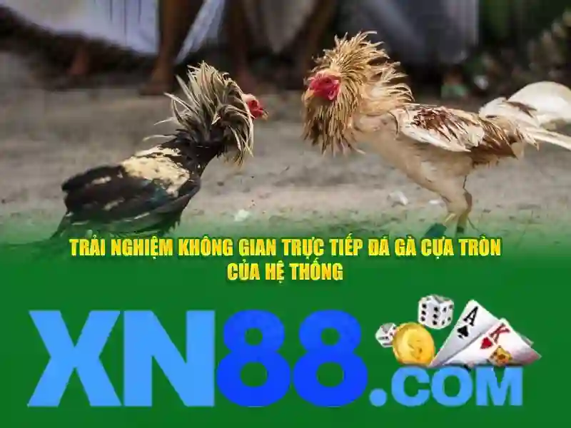 xn88: Nền tảng giải trí trực tuyến cho cộng đồng người chơi